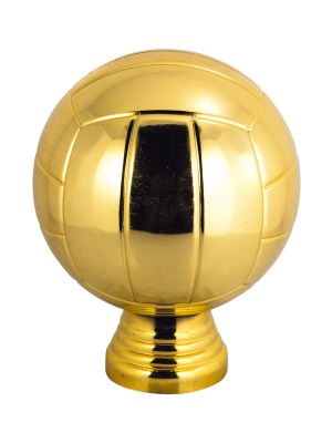 bm_w80_voleybol_105_zol