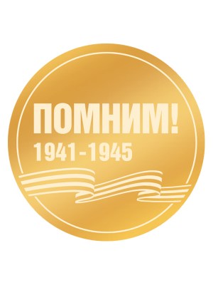 vk31-dp-2