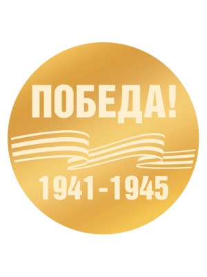 vk31-dp-3